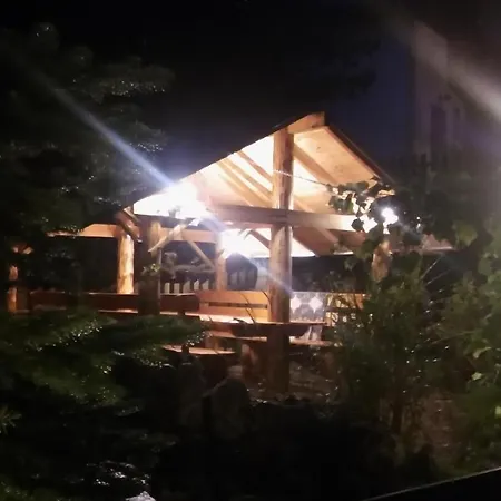 Проживання в сім'ї Wiking