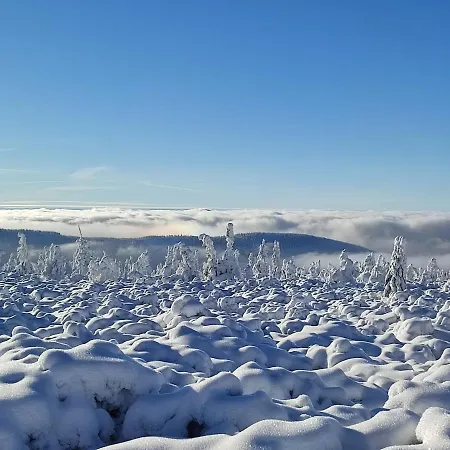 Проживання в сім'ї Wiking *