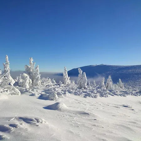 Проживання в сім'ї Wiking Шклярська Поремба