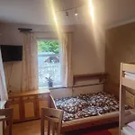 Wiking Проживание в семье *