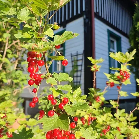 Homestay Wiking Szklarska Poreba