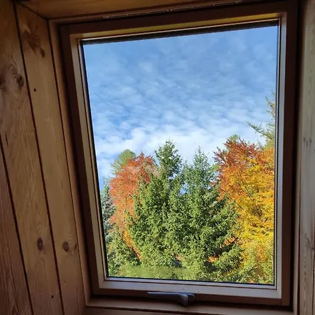 Wiking شكلارسكا بوريبا