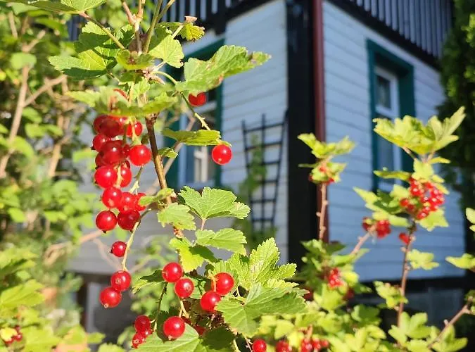 Privatunterkunft Wiking Schreiberhau