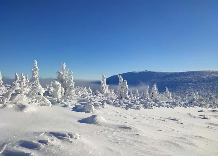 Privatunterkunft Wiking Schreiberhau